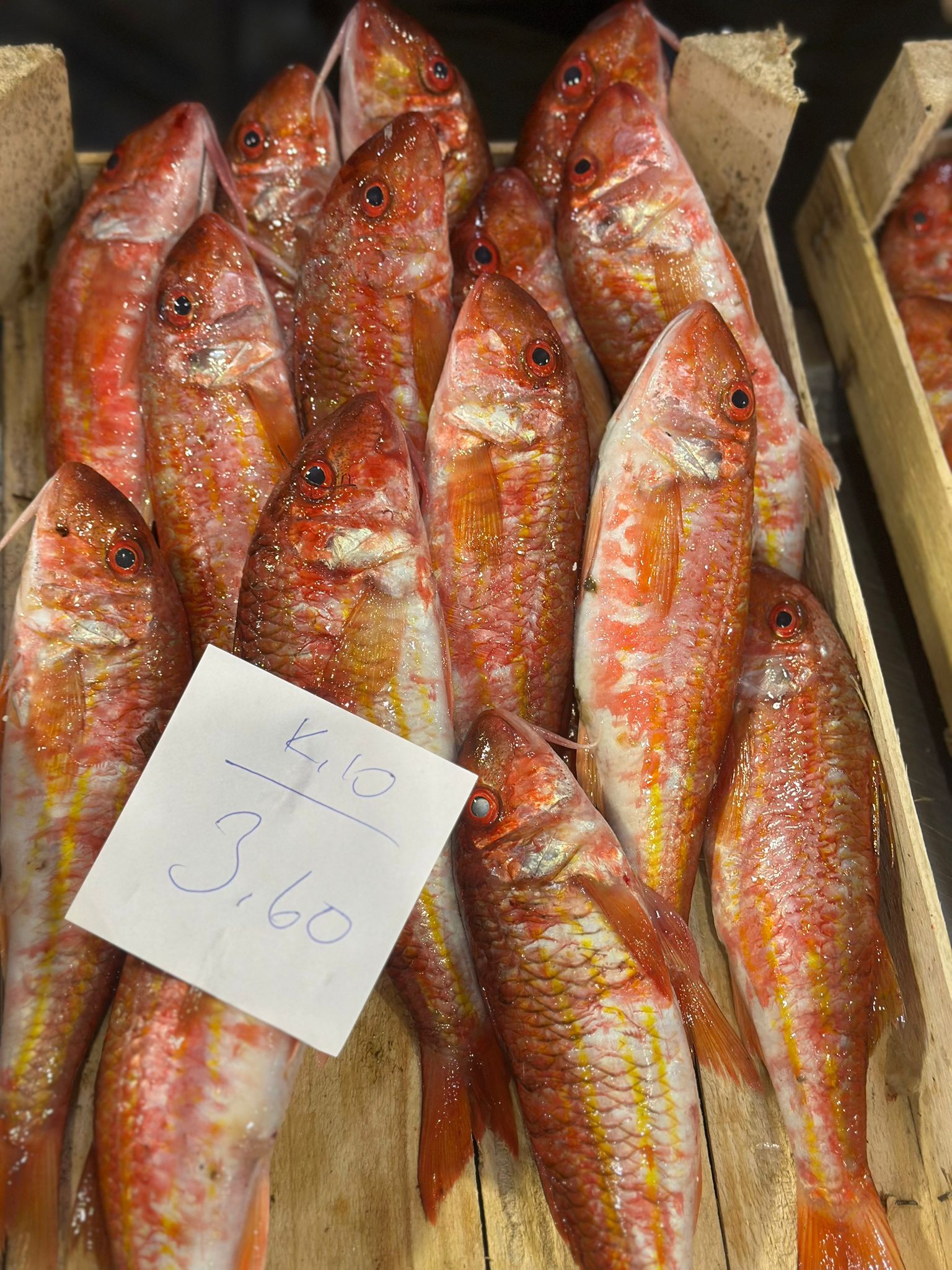 Okyanus Balıkçılık 